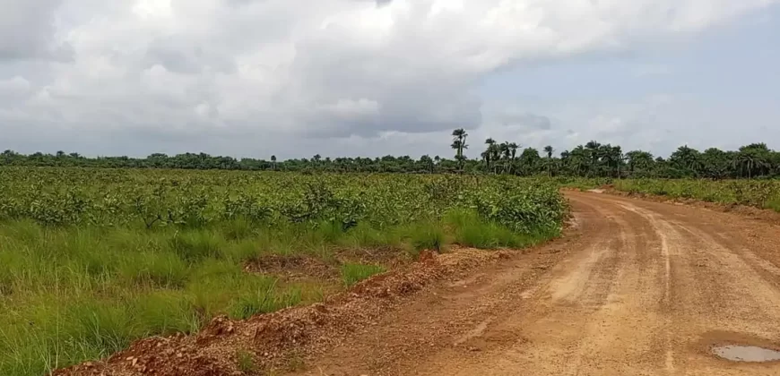 Land Near Charlesville Township. #106