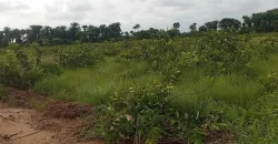 Land Near Charlesville Township. #106