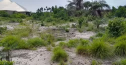 Land on Marshal Road. #107