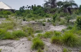 Land on Marshal Road. #107