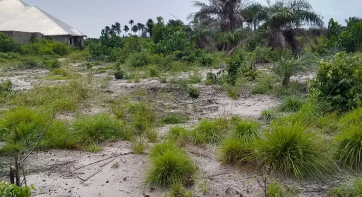 Land on Marshal Road. #107