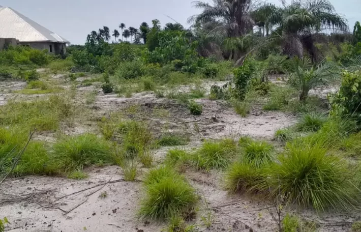 Land on Marshal Road. #107