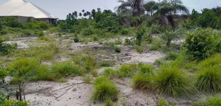 Land on Marshal Road. #107