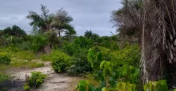 Land on Marshal Road. #107