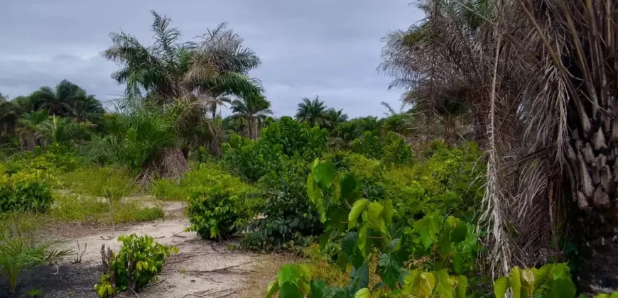 Land on Marshal Road. #107