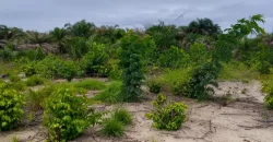 Land on Marshal Road. #107