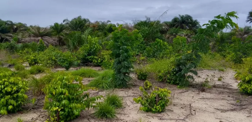 Land on Marshal Road. #107