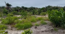 Land on Marshal Road. #107