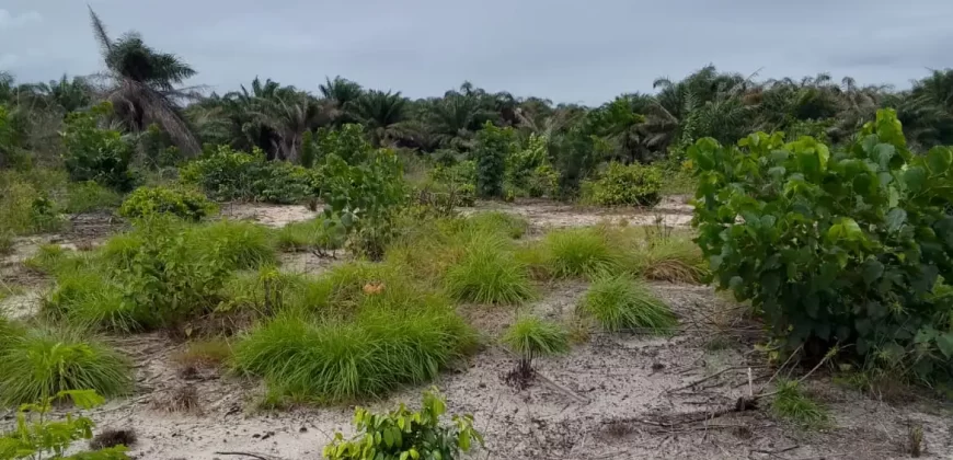 Land on Marshal Road. #107