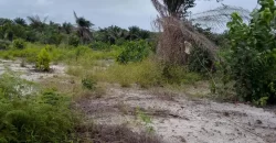 Land on Marshal Road. #107