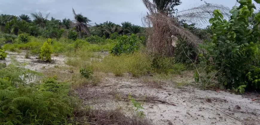 Land on Marshal Road. #107