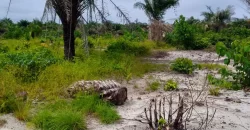 Land on Marshal Road. #107