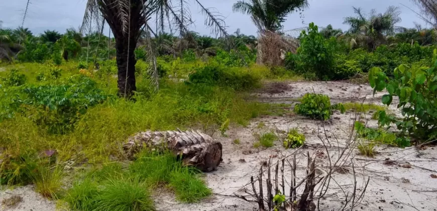 Land on Marshal Road. #107