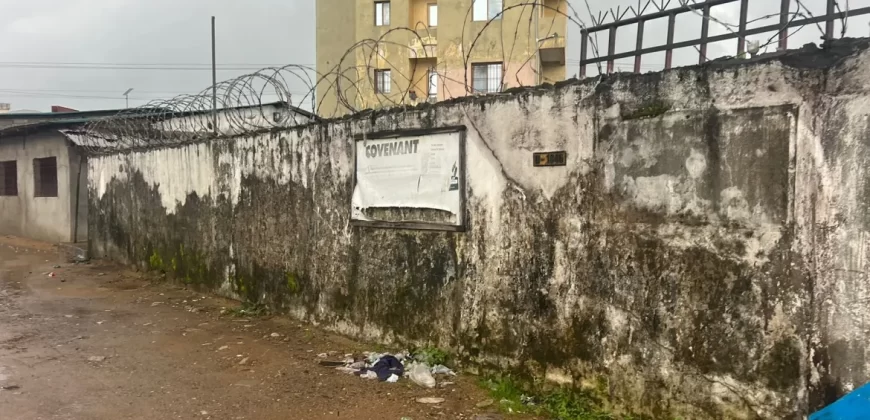 Prime Mixed-Use Sinkor Location. #108