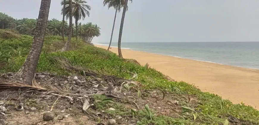 Beachfront Land. #109