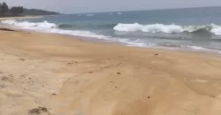 Beachfront Land. #109