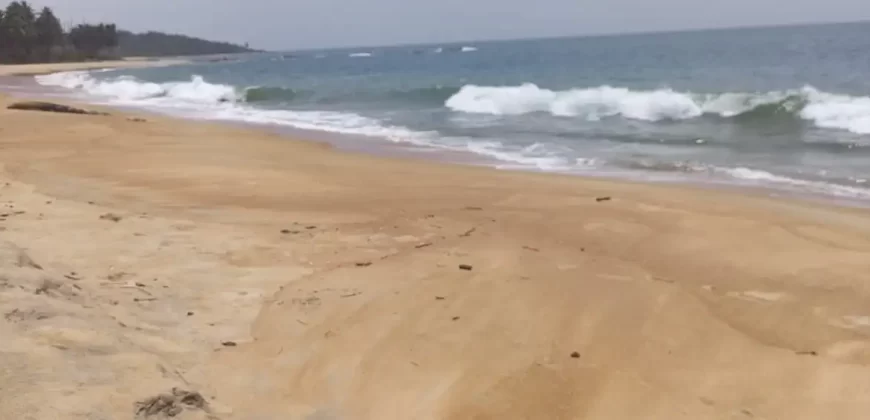 Beachfront Land. #109