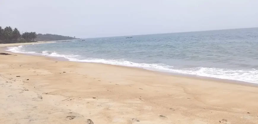 Beachfront Land. #109