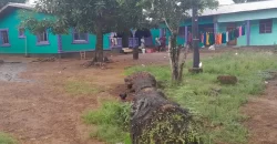 Four Houses for Sale