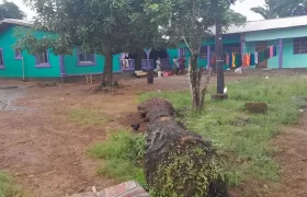 Four Houses for Sale