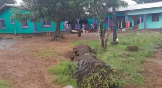 Four Houses for Sale