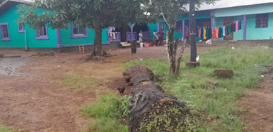 Four Houses for Sale