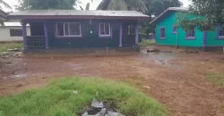 Four Houses for Sale