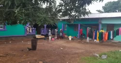 Four Houses for Sale