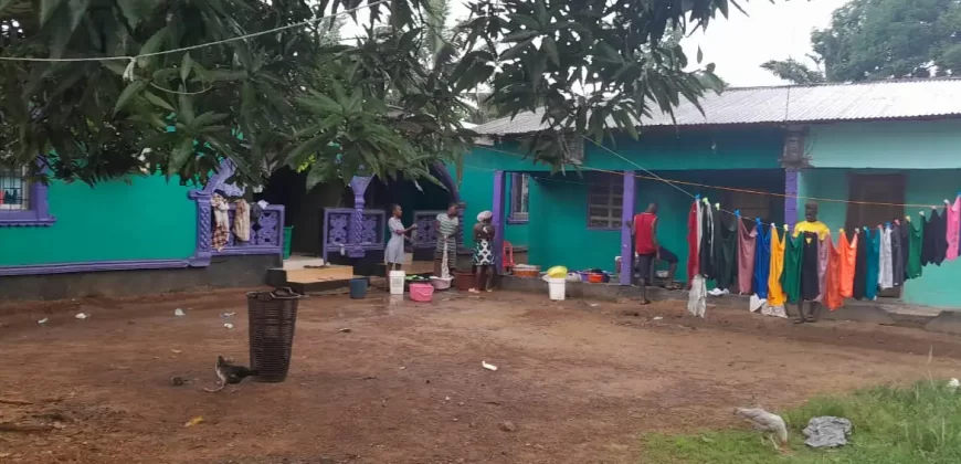 Four Houses for Sale