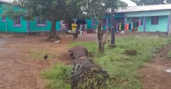 Four Houses for Sale