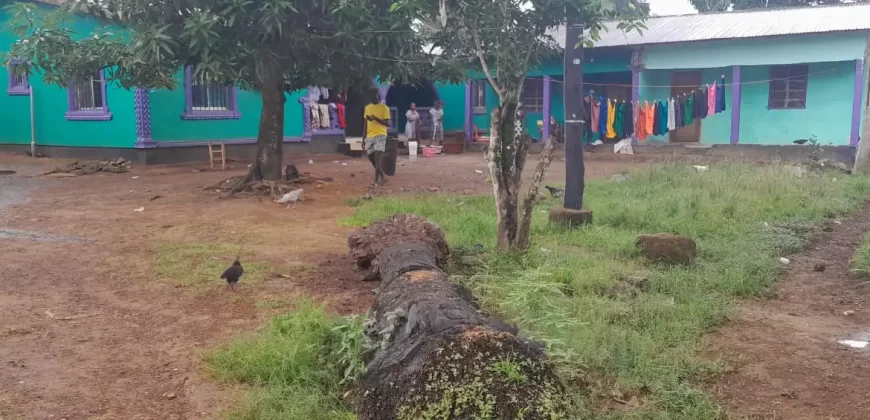 Four Houses for Sale