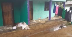 Four Houses for Sale