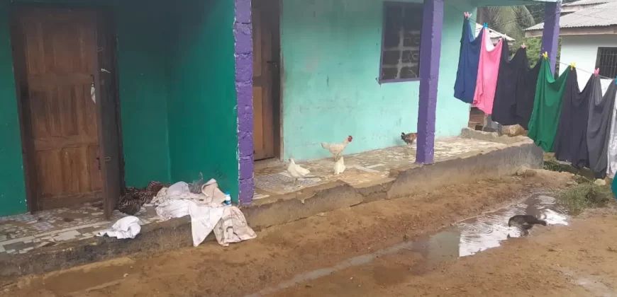 Four Houses for Sale