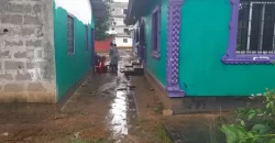 Four Houses for Sale