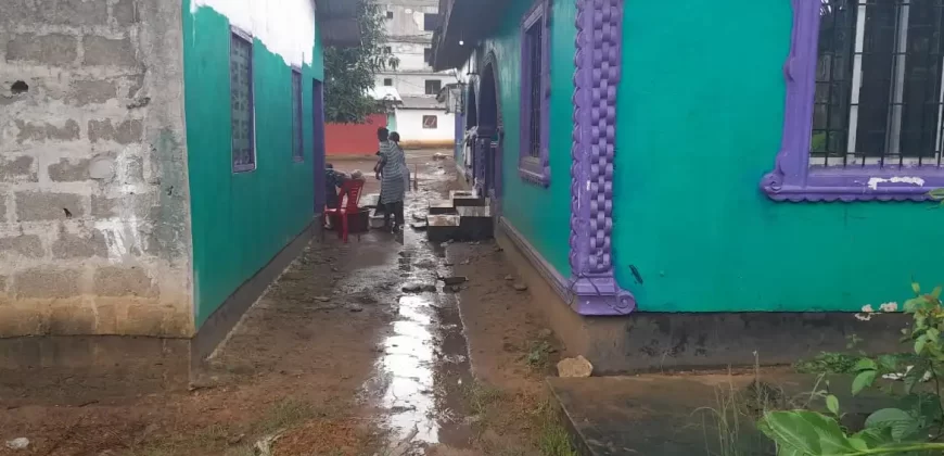 Four Houses for Sale