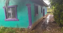 Four Houses for Sale