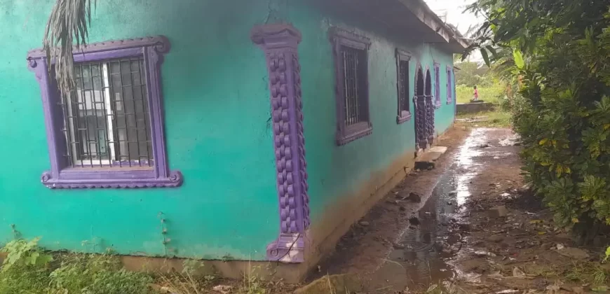 Four Houses for Sale