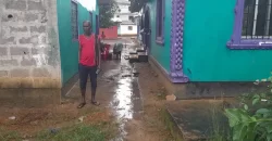 Four Houses for Sale