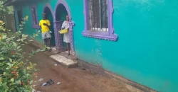 Four Houses for Sale