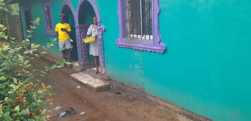 Four Houses for Sale