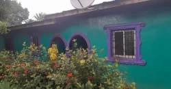 Four Houses for Sale