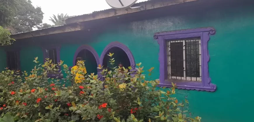 Four Houses for Sale