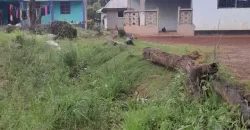 Four Houses for Sale