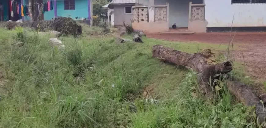 Four Houses for Sale