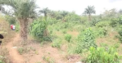 Beach Community Land. #110