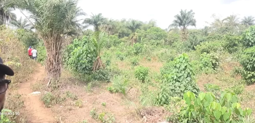 Beach Community Land. #110