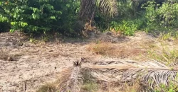 Beach Community Land. #110