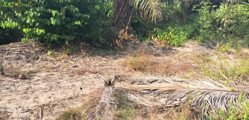 Beach Community Land. #110