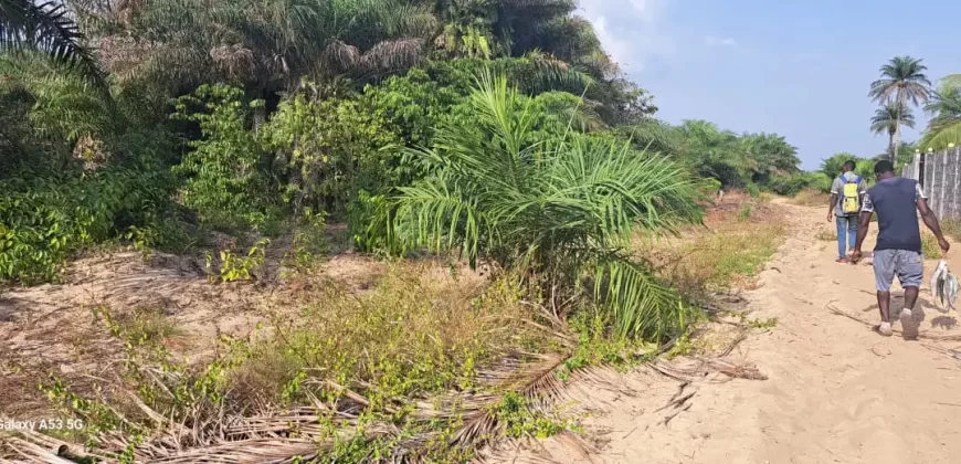 Beach Community Land. #110