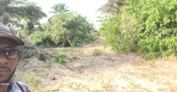 Beach Community Land. #110